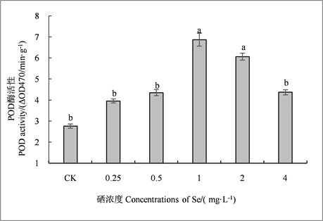 高活性补硒剂(高活性补硒剂)-硒宝网