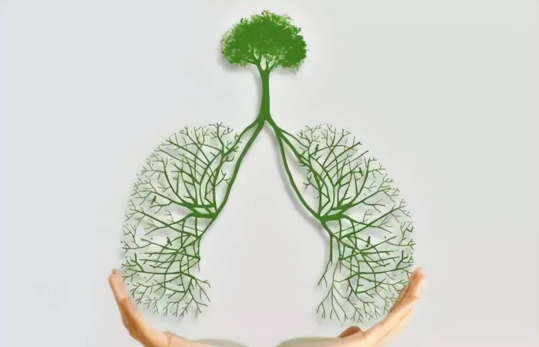 肺结节与补硒（肺结节与补硒）-硒宝网