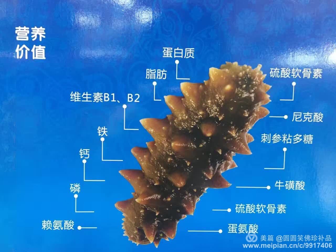 铁硒双补功效(铁硒双补功效)-硒宝网