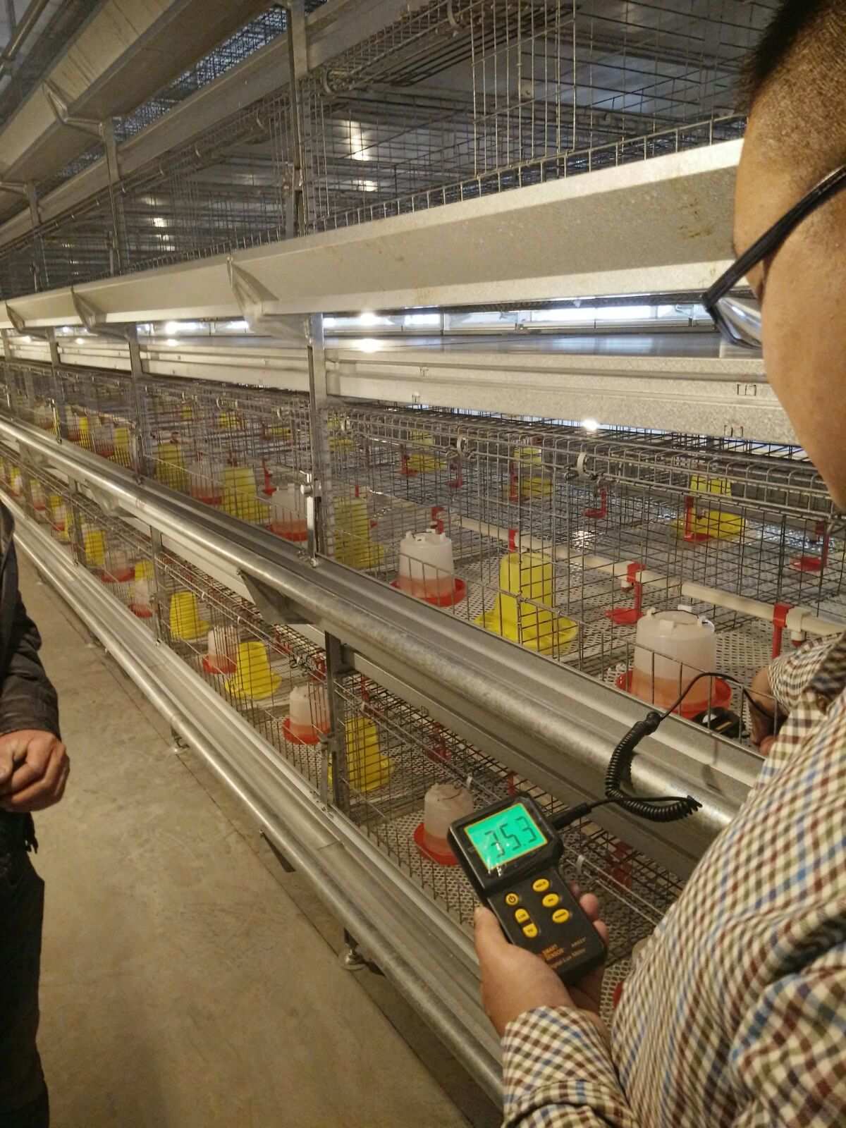 鸡雏补硒的量（蛋鸡补硒）-硒宝网