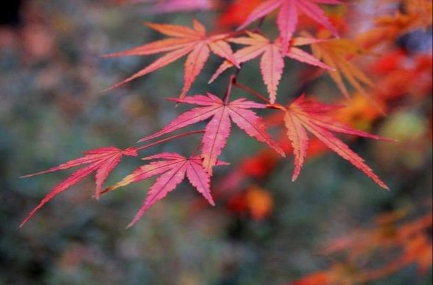 补硒后眼睛肿(眼睛肿补硒后会好吗)-硒宝网