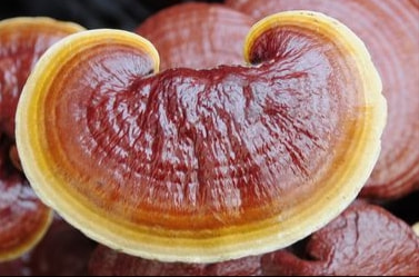 补硒后眼睛肿(眼睛肿补硒后会好吗)-硒宝网