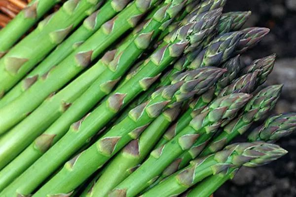 补硒会变黑么（硒变黑怎么回事）-硒宝网