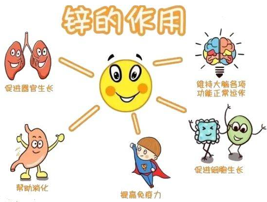 什么补碘硒锌(补锌硒的)-硒宝网