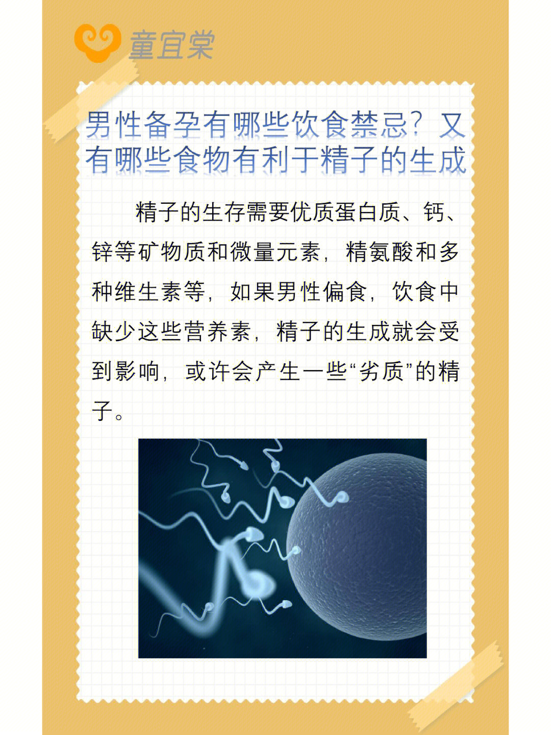 备孕男性补硒（男士备孕补硒）-硒宝网