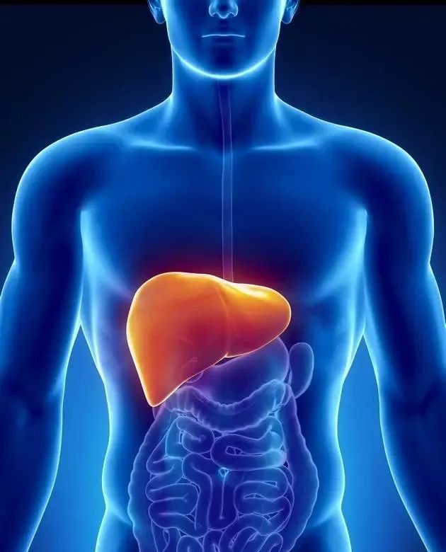 补硒后红色尿（尿补红色硒后会变色吗）-硒宝网