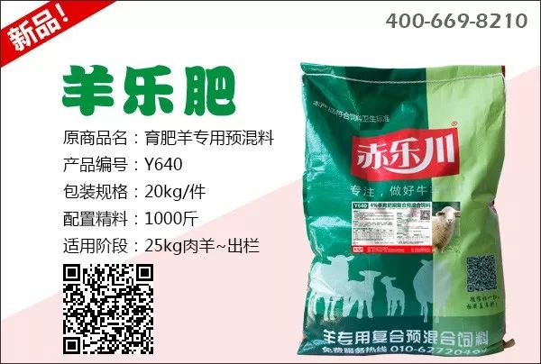 羊只如何补硒（羊补硒过量怎么解毒）-硒宝网