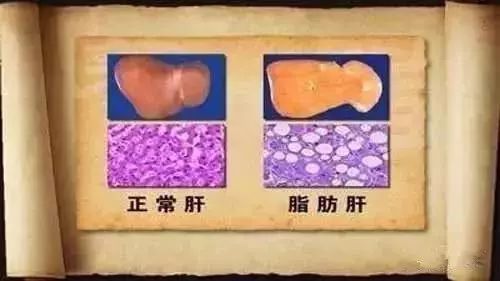 补硒长智力吗（补硒长智力吗）-硒宝网