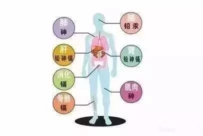 补硒长智力吗（补硒长智力吗）-硒宝网