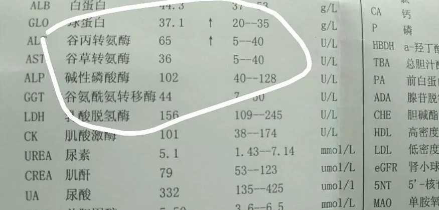 怎么补硒护肝（怎么补硒护肝）-硒宝网