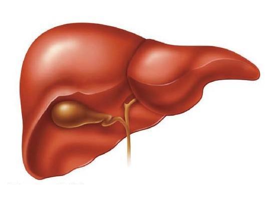 怎么补硒护肝（怎么补硒护肝）-硒宝网