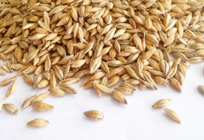 怎么补硒护肝（怎么补硒护肝）-硒宝网