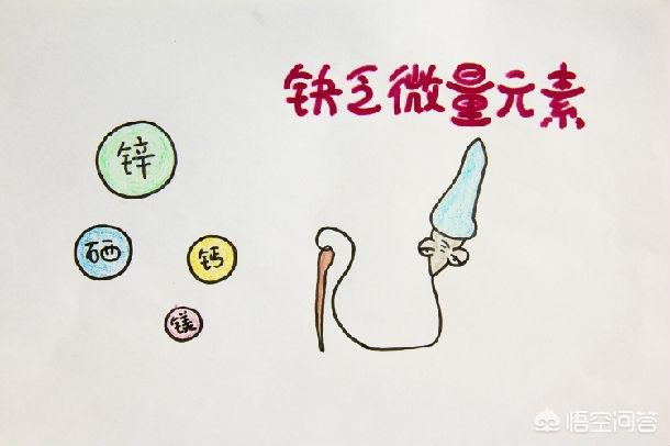 鹿茸能补硒吗（鹿茸补品对人体有什么功效）-硒宝网