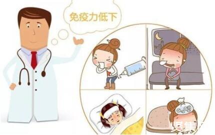 鹿茸能补硒吗(鹿茸补片能不能补肾)-硒宝网