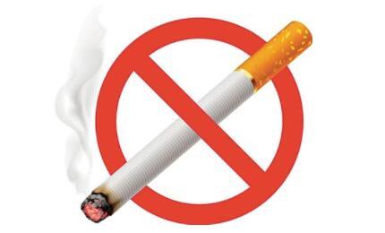 鹿茸能补硒吗(鹿茸补片能不能补肾)-硒宝网