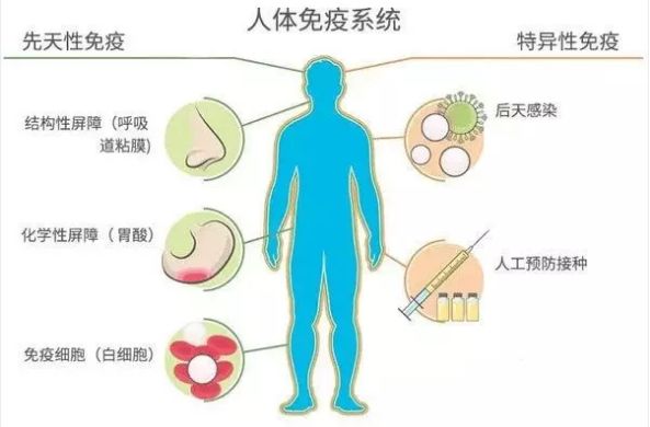 补硒如何阻镉（补硒如何阻镉）-硒宝网