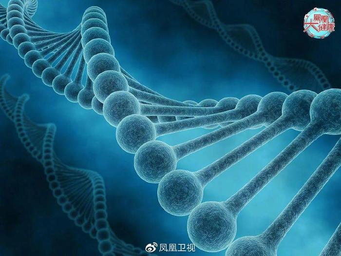 补肽硒油好吗(肽和硒的作用)-硒宝网