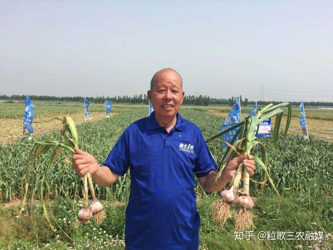 吃大蒜能补硒（吃大蒜能补硒）-硒宝网