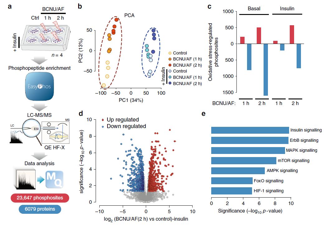 补肽硒油好吗(补肽硒油好吗)-硒宝网