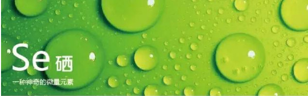 补硒如何阻镉（镉和硒拮抗作用）-硒宝网