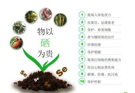 补硒如何阻镉（镉和硒拮抗作用）-硒宝网