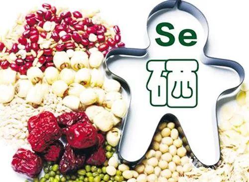植物能补硒吗(补植物硒有哪些好处)-硒宝网