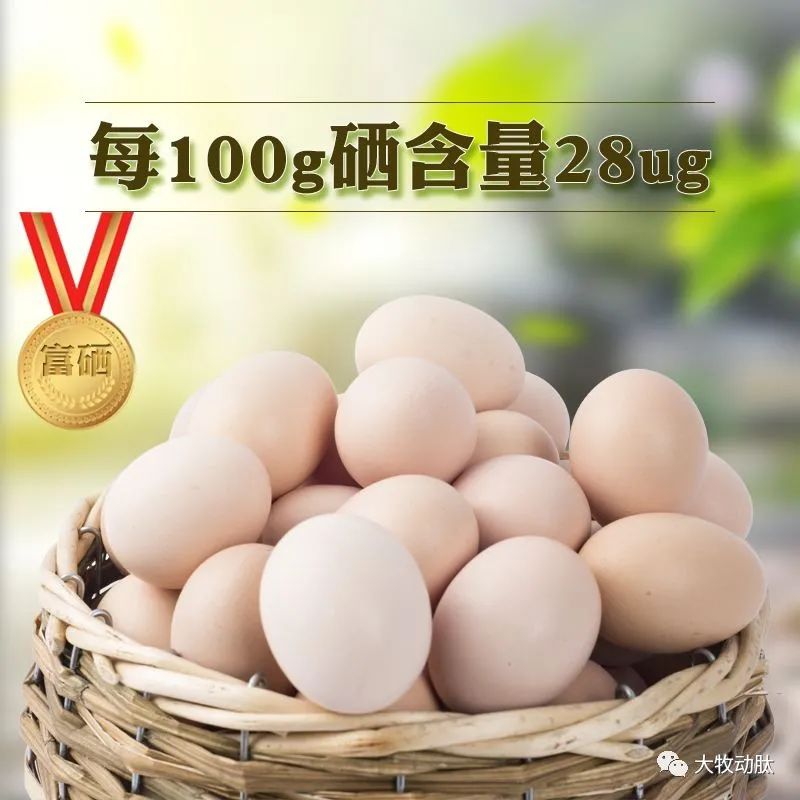 补硒应怎样吃(补硒应怎样吃)-硒宝网