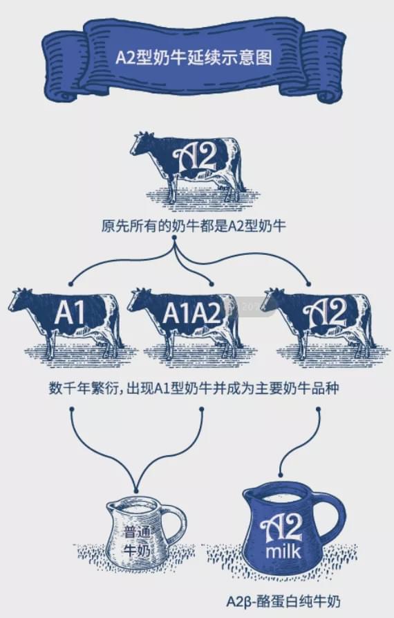 兽用补硒产品(兽用补硒药有哪几种)-硒宝网