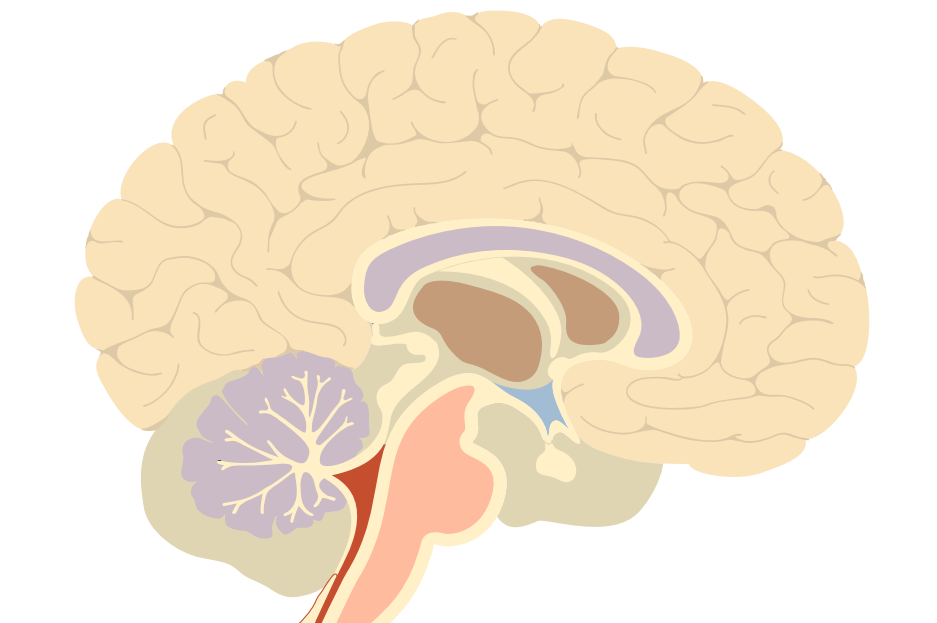 补硒 艾滋?。ò滩⌒呖梢圆刮穑?硒宝网