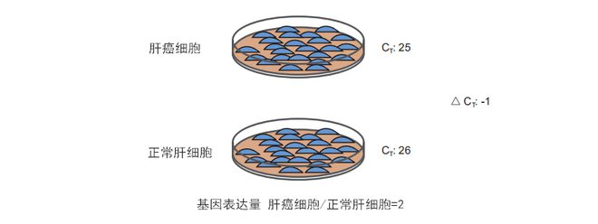 便秘能补硒吗（便秘补硒有用吗）-硒宝网