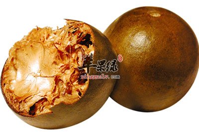 补硒养生茶杯（富硒养生杯的使用方法）-硒宝网