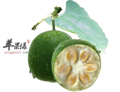 补硒养生茶杯（富硒养生杯的使用方法）-硒宝网