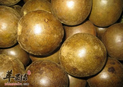 补硒养生茶杯（富硒养生杯的使用方法）-硒宝网