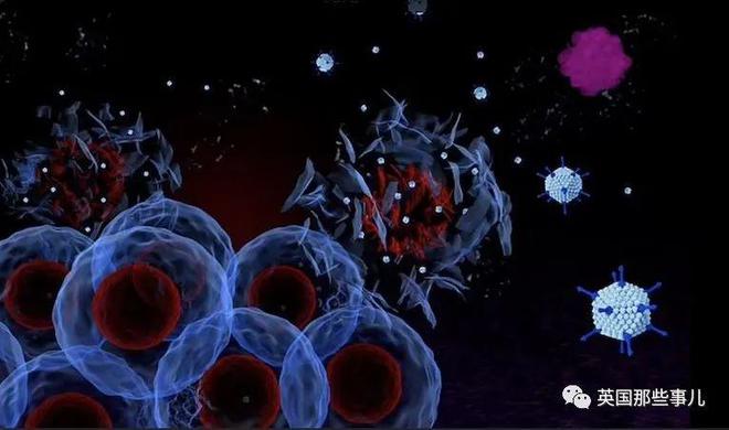 乙肝补硒蓄毒(蓄毒补乙肝硒多少钱)-硒宝网