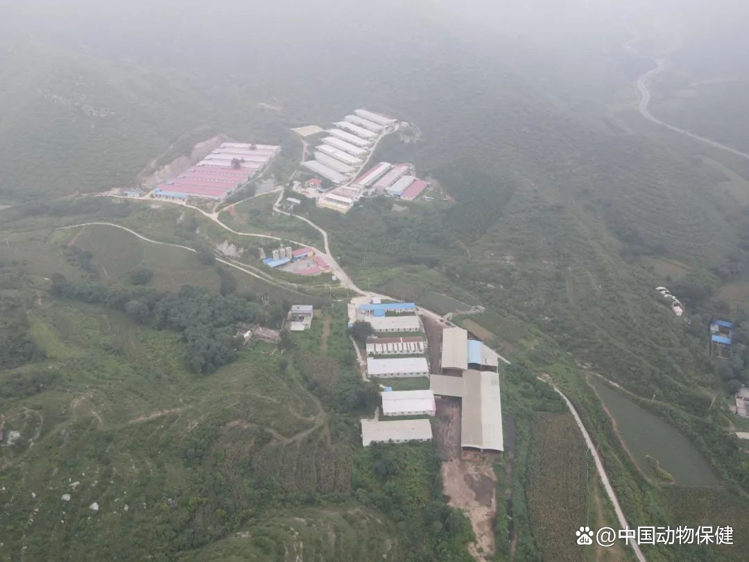 小鸡能补硒吗（补硒能预防什么疾?。?硒宝网