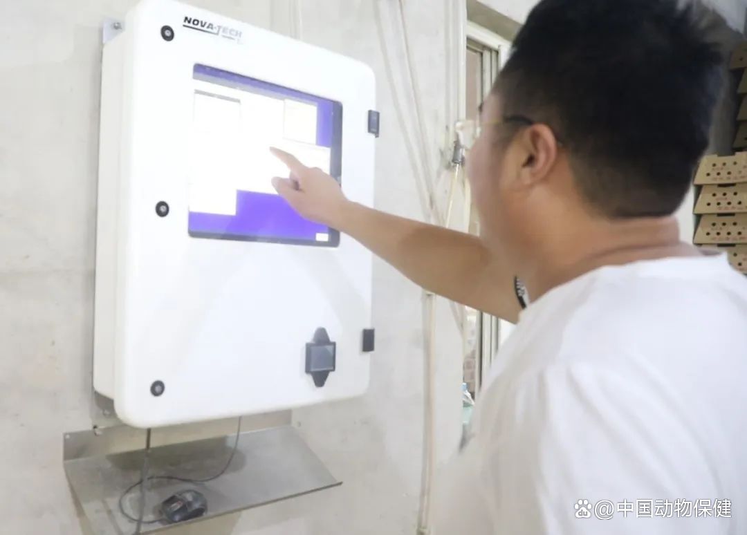 小鸡能补硒吗（补硒能预防什么疾?。?硒宝网