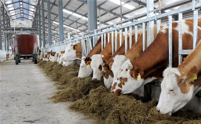 兽用补硒药物(兽用硒的功效和作用)-硒宝网