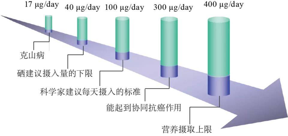 化疗用补硒吗(化疗期间补硒多少量)-硒宝网