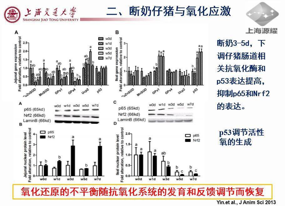猪仔补硒后吐（仔猪补硒的作用）-硒宝网
