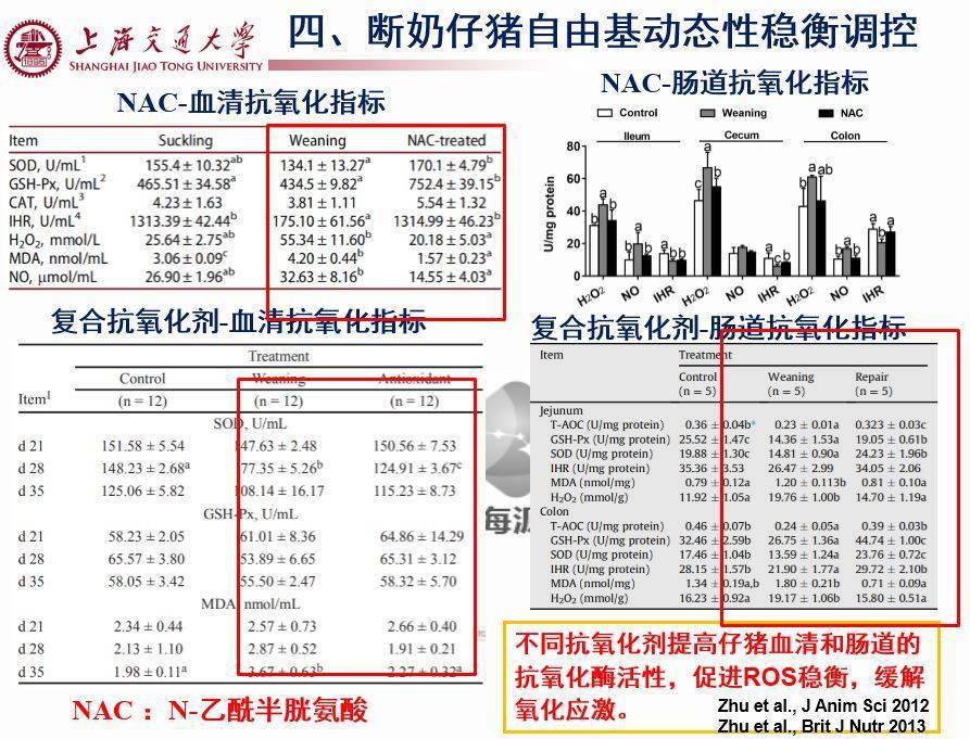 猪仔补硒后吐（仔猪补硒的作用）-硒宝网
