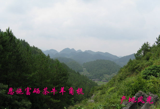 补硒能降血压(高血压补硒能降压么)-硒宝网