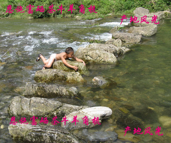 补硒能降血压(高血压补硒能降压么)-硒宝网