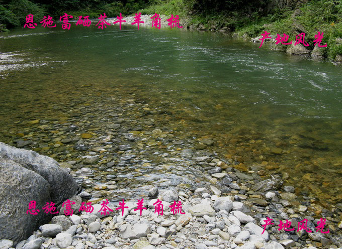 补硒能降血压(高血压补硒能降压么)-硒宝网