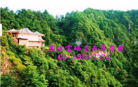 补硒能降血压(高血压补硒能降压么)-硒宝网