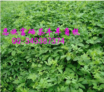 补硒能降血压(高血压补硒能降压么)-硒宝网