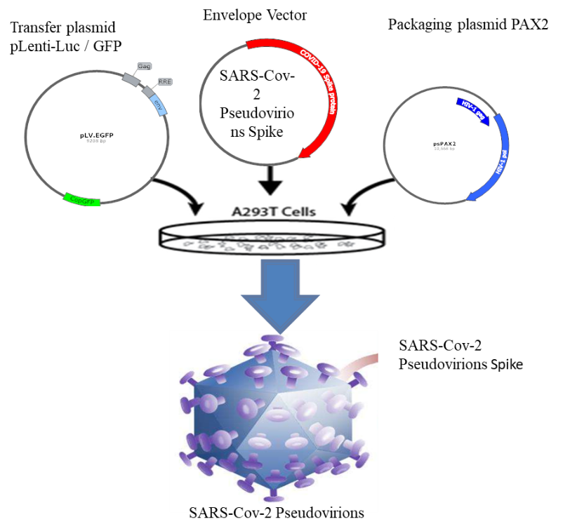 吃鱼能补硒吗（鱼含硒多吗）-硒宝网