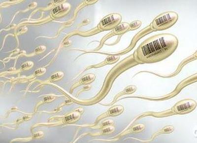 却硒吃什么补(却硒吃什么补)-硒宝网