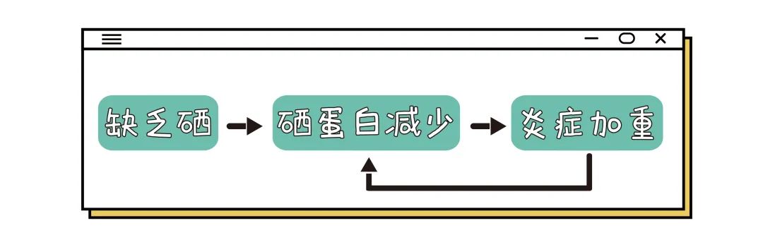 结肠炎 补硒(硒与结肠炎的关系)-硒宝网