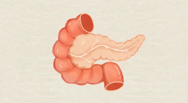 结肠炎 补硒(结肠炎需要补充哪些益生菌)-硒宝网