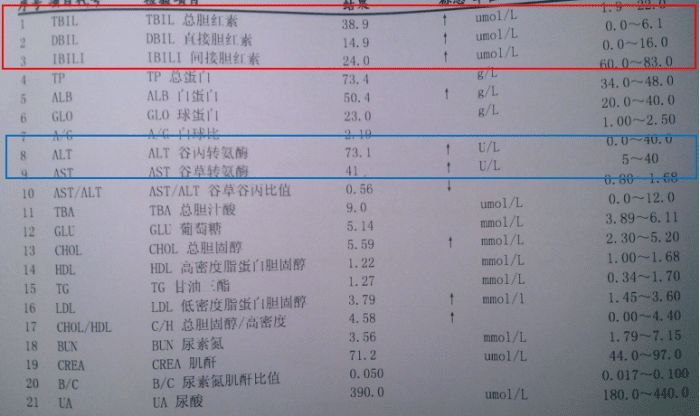 乙肝患者补硒(补患者乙肝硒片吃多久)-硒宝网